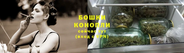 шишки Богородицк