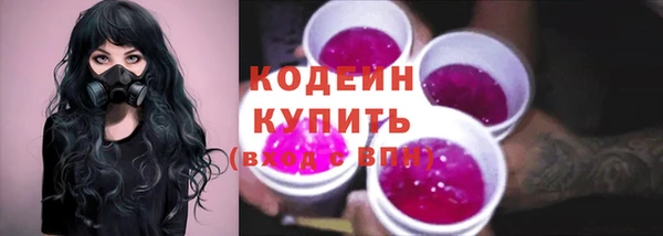 шишки Богородицк
