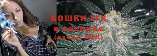 стаф Богданович
