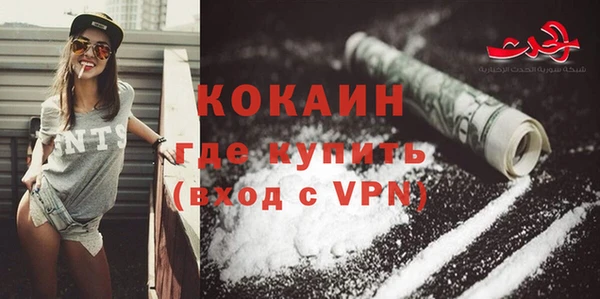 стаф Богданович