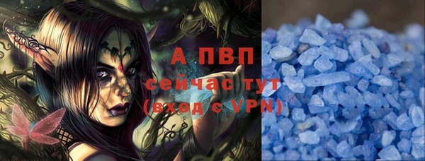 стаф Богданович