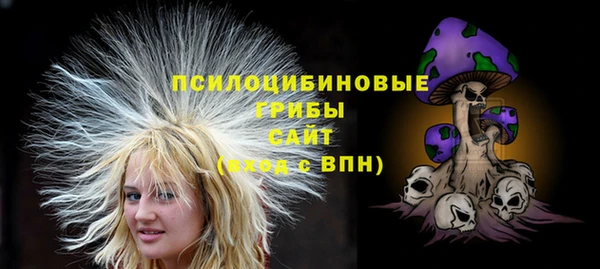 стаф Богданович