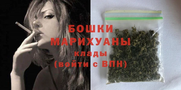 шишки Богородицк