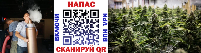 Конопля план МЕГА tor Оха цены